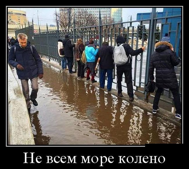 Демотиваторы