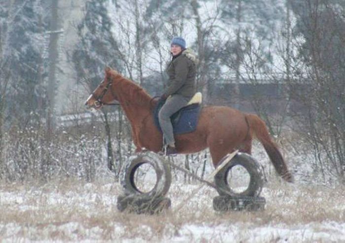 Снимки, сделанные в нужный момент