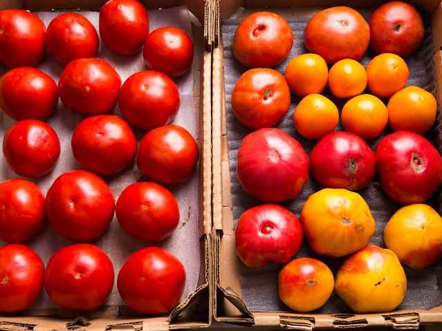 12 продуктов, которые не нужно хранить в холодильнике 12 продуктов, которые не нужно хранить в холодильнике