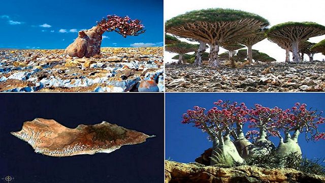 Самые поразительные геологические чудеса на Земле