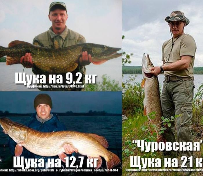 &quot;Чуровская&quot; щука Путина