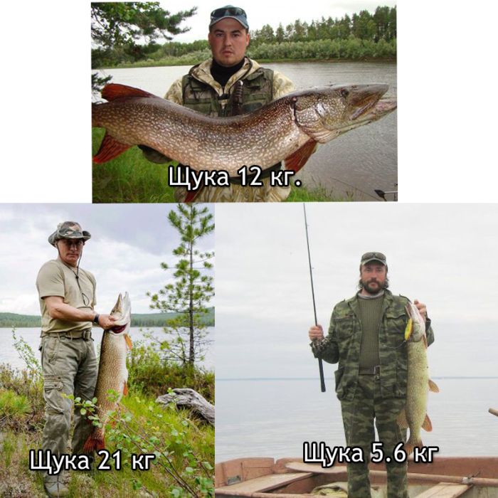 &quot;Чуровская&quot; щука Путина
