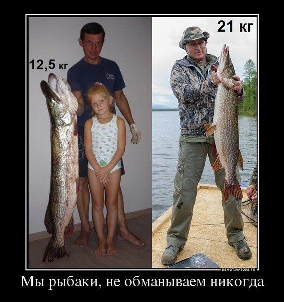 &quot;Чуровская&quot; щука Путина
