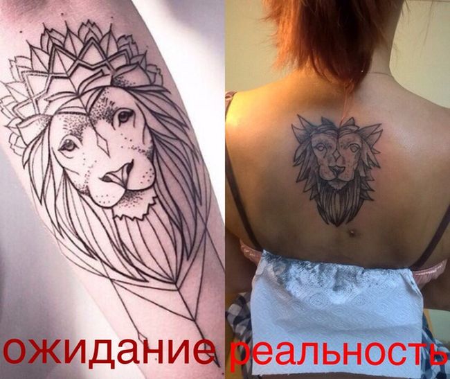 Прикольные картинки