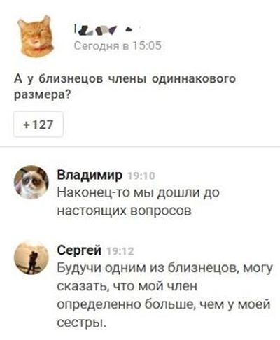 Прикольные картинки