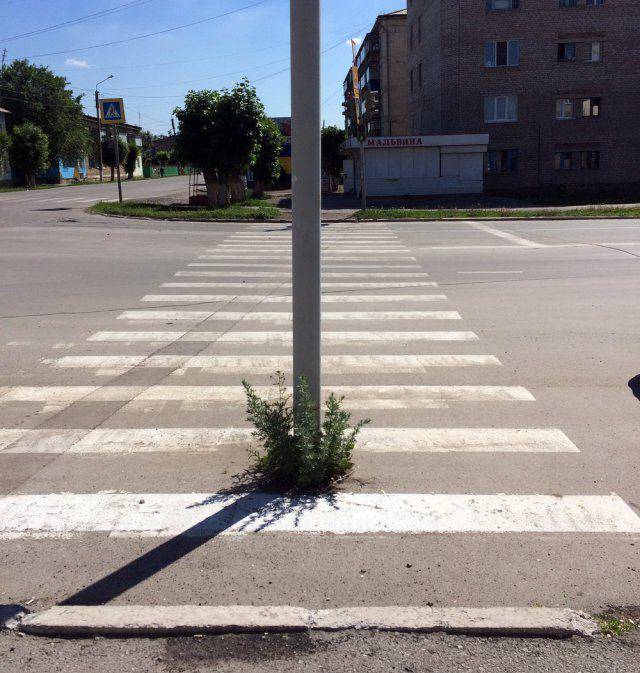 Удивительные снимки с российских просторов