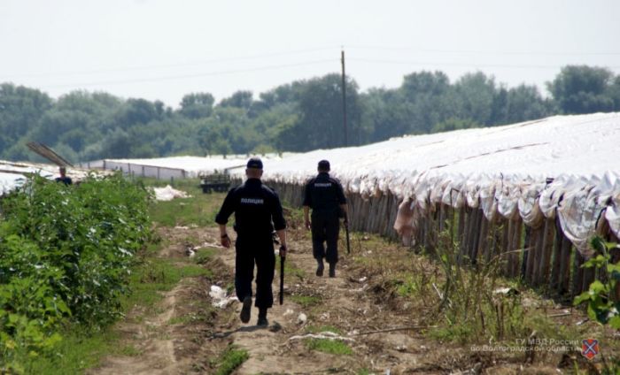 В Волгоградской области обнаружен поселок нелегальных трудовых мигрантов