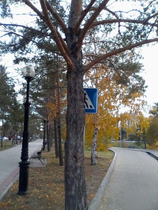 Дорожные реалии нашей страны