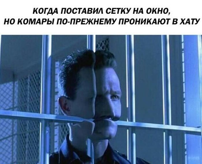 Подборка легкого юмора
