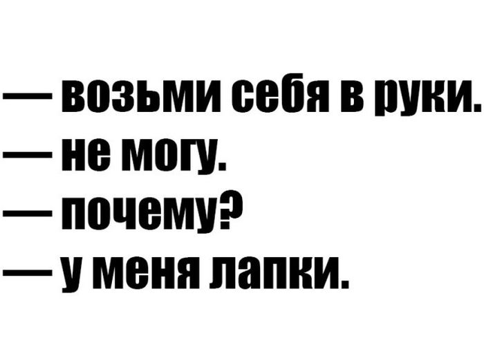 Подборка легкого юмора