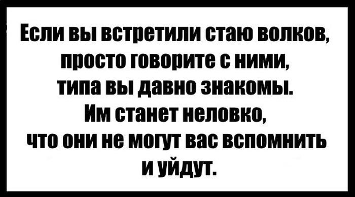 Подборка легкого юмора