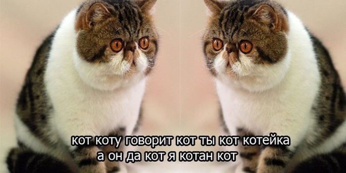 Подборка легкого юмора