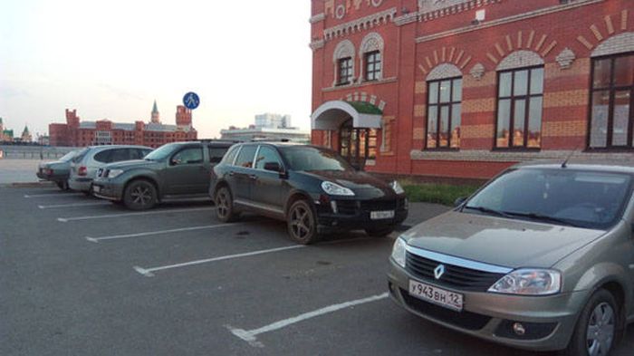 Прикольные картинки