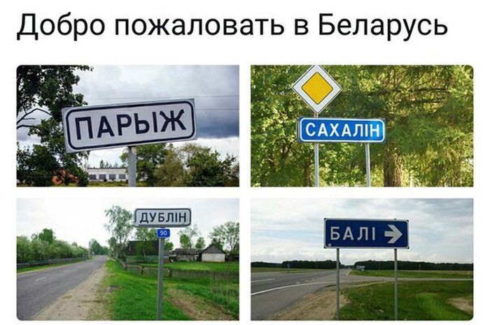 Прикольные картинки