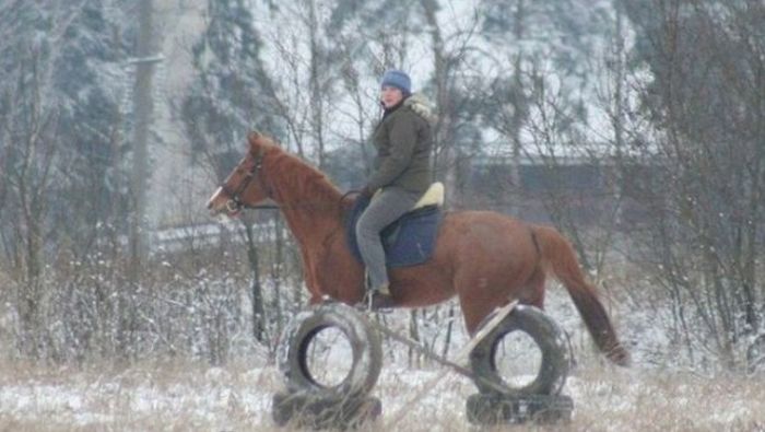 Фотографии, которые заставят вас улыбнуться