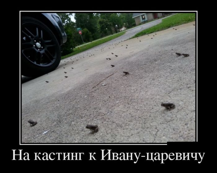 Демотиваторы