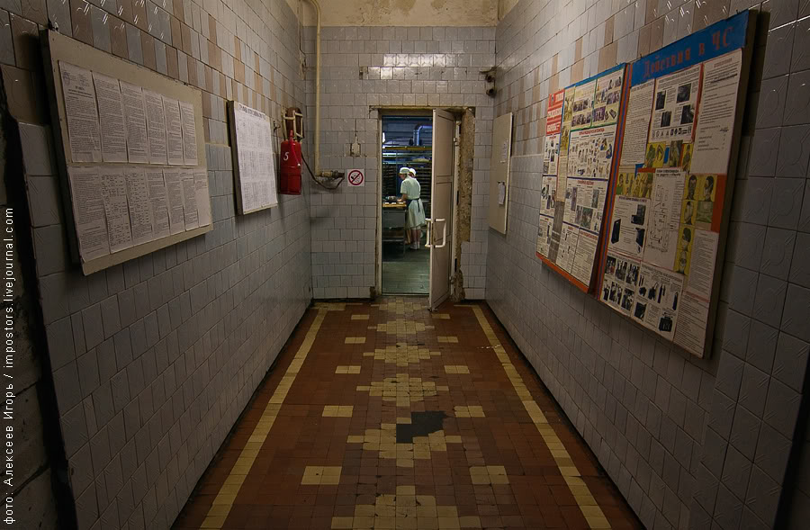 Как делают хлеб (33 фото)