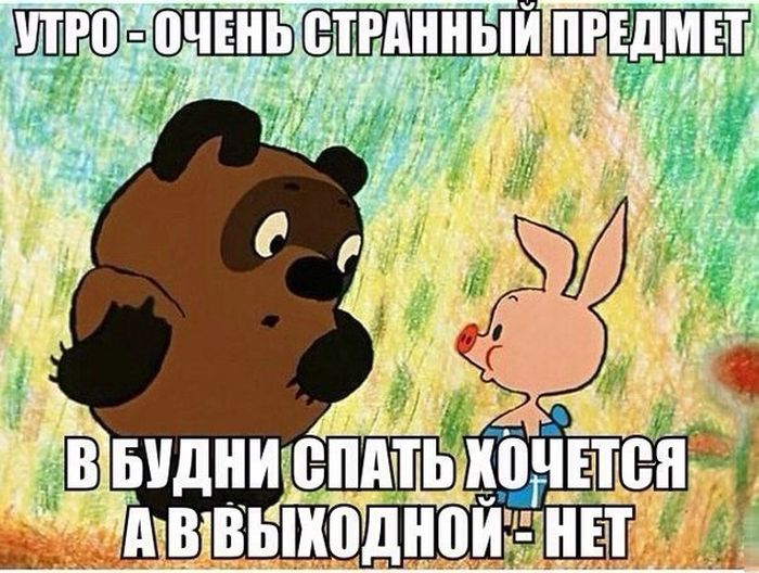 Порция картинок