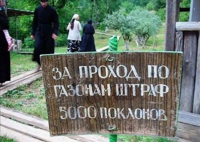 Порция картинок