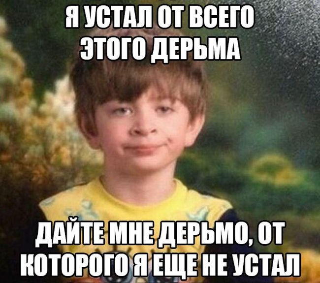 Порция картинок