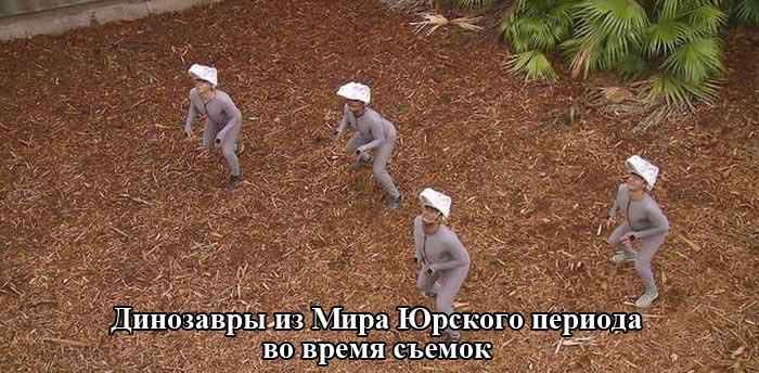 Порция картинок