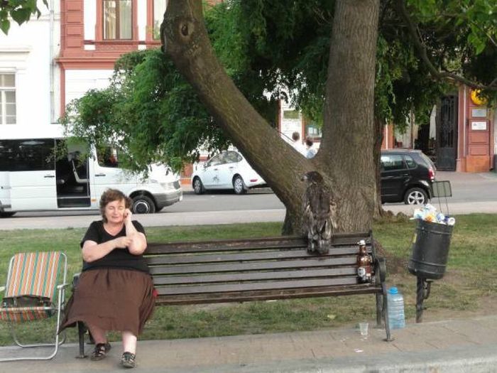 Порция картинок