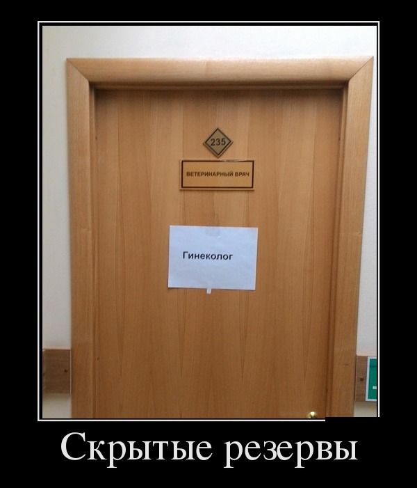 Демотиваторы
