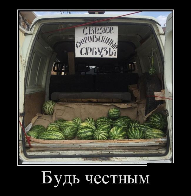 Демотиваторы