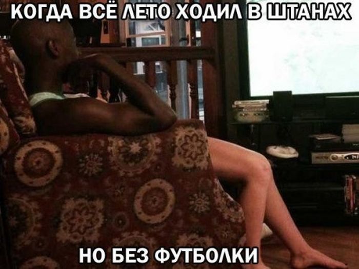 Прикольные картинки