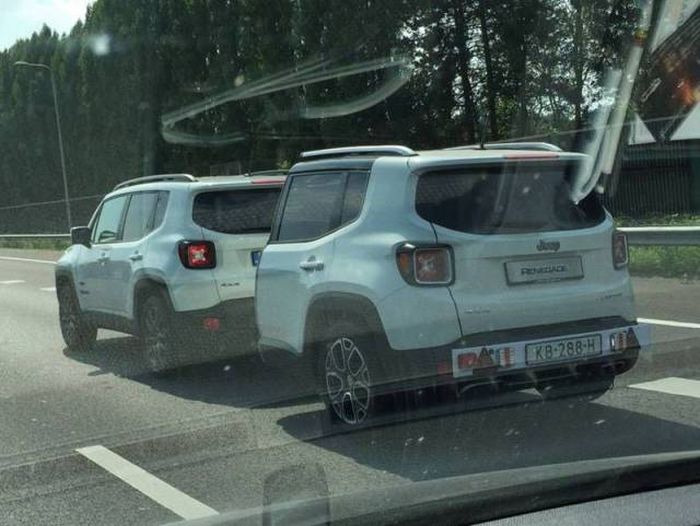 Прикольные картинки