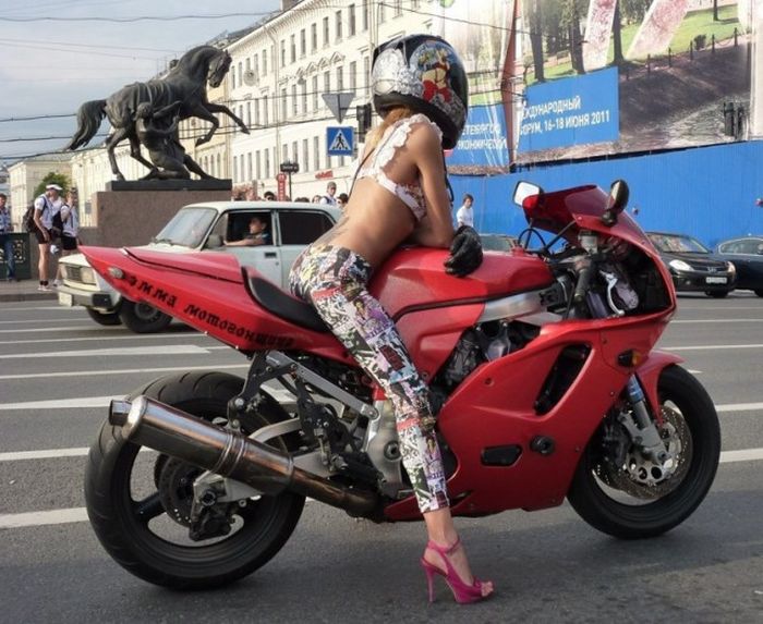 Прикольные картинки