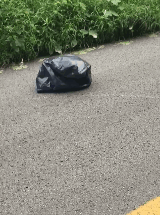 Необычная находка в мусорном пакете на дороге