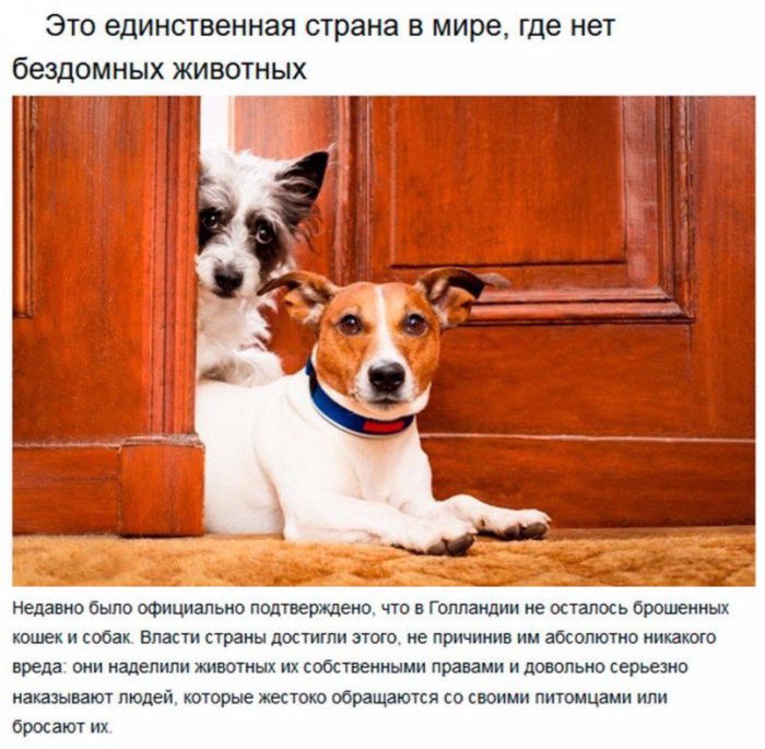 Нидерланды - страна будущего