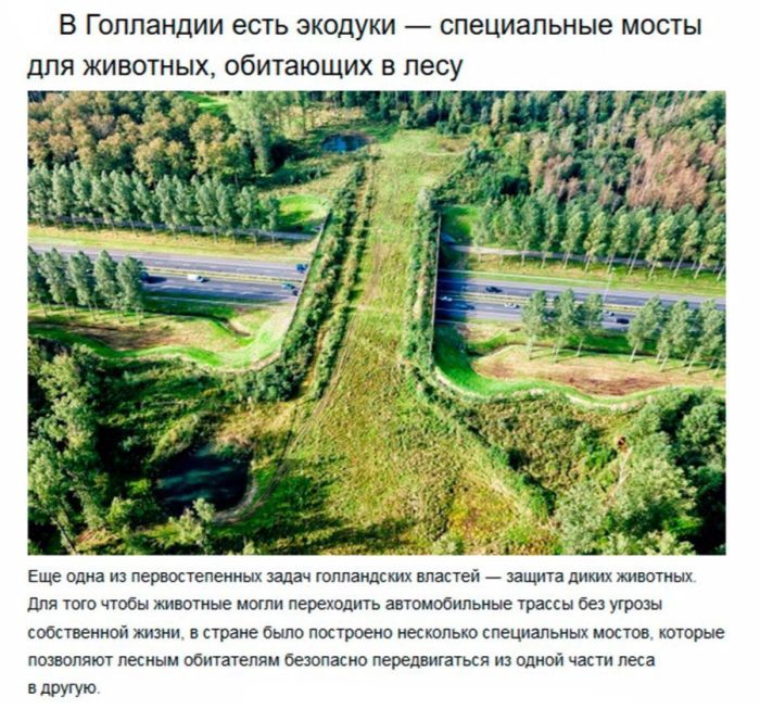 Нидерланды - страна будущего