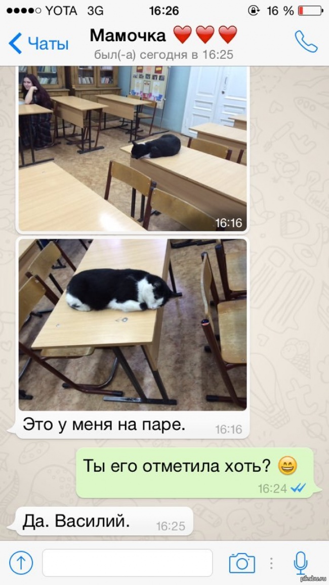 25 учителей, которые слишком круты для своей работы