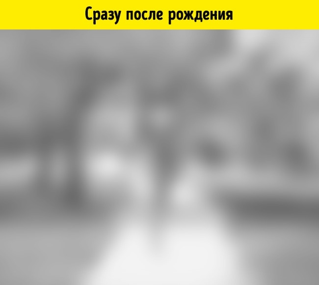 Как видят мир люди в 15 разных состояниях