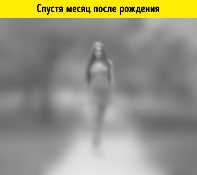 Как видят мир люди в 15 разных состояниях