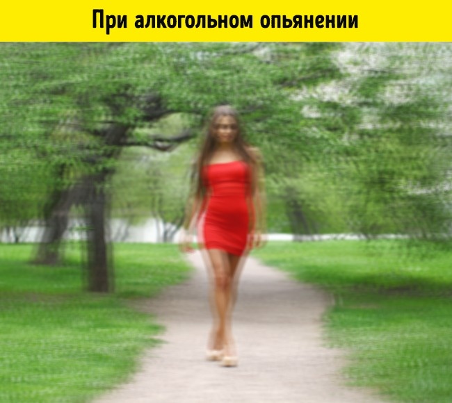 Как видят мир люди в 15 разных состояниях