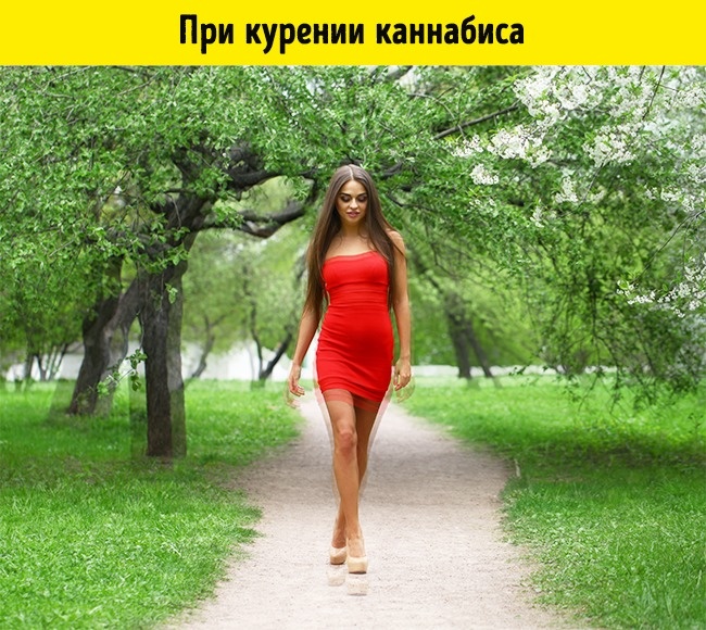 Как видят мир люди в 15 разных состояниях