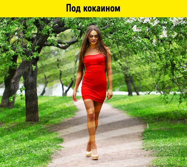 Как видят мир люди в 15 разных состояниях