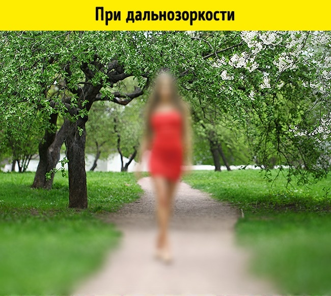 Как видят мир люди в 15 разных состояниях