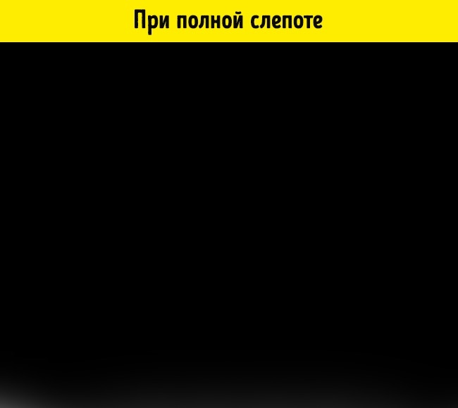 Как видят мир люди в 15 разных состояниях
