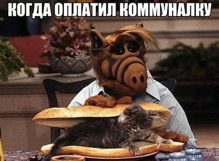 Прикольные картинки