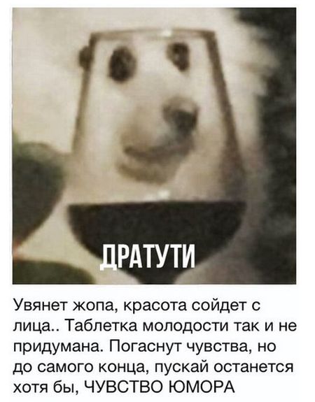 Прикольные картинки
