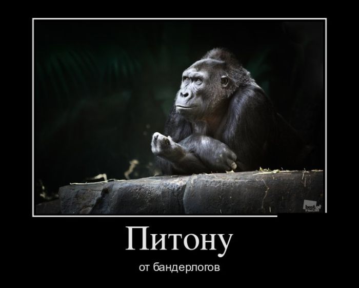 Демотиваторы