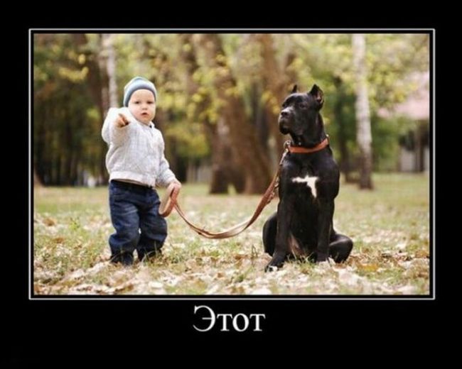 Демотиваторы