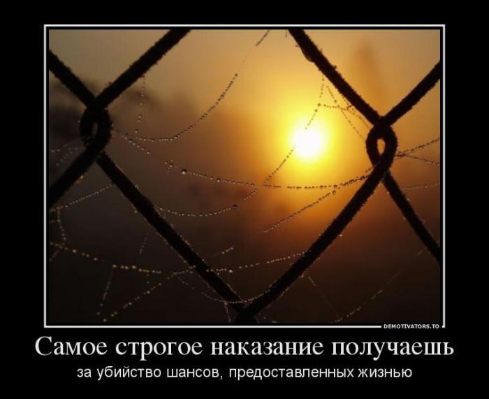Демотиваторы (70 фото)