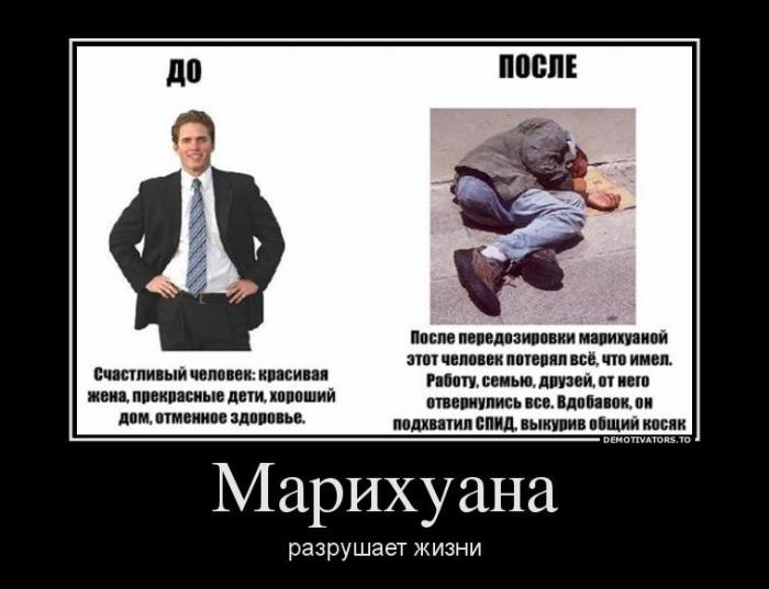Демотиваторы (70 фото)