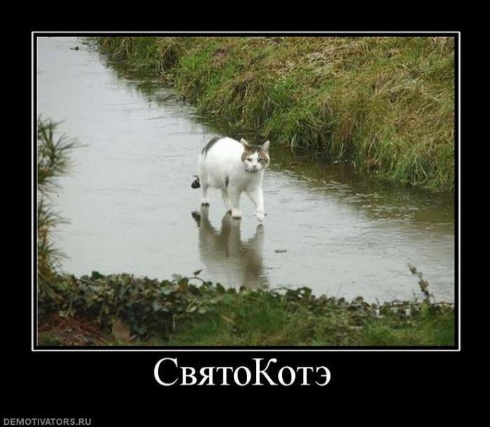 Демотиваторы (70 фото)