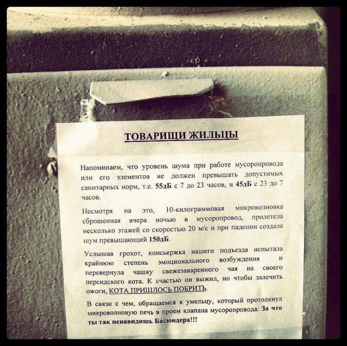 Прикольные картинки (67 фото)